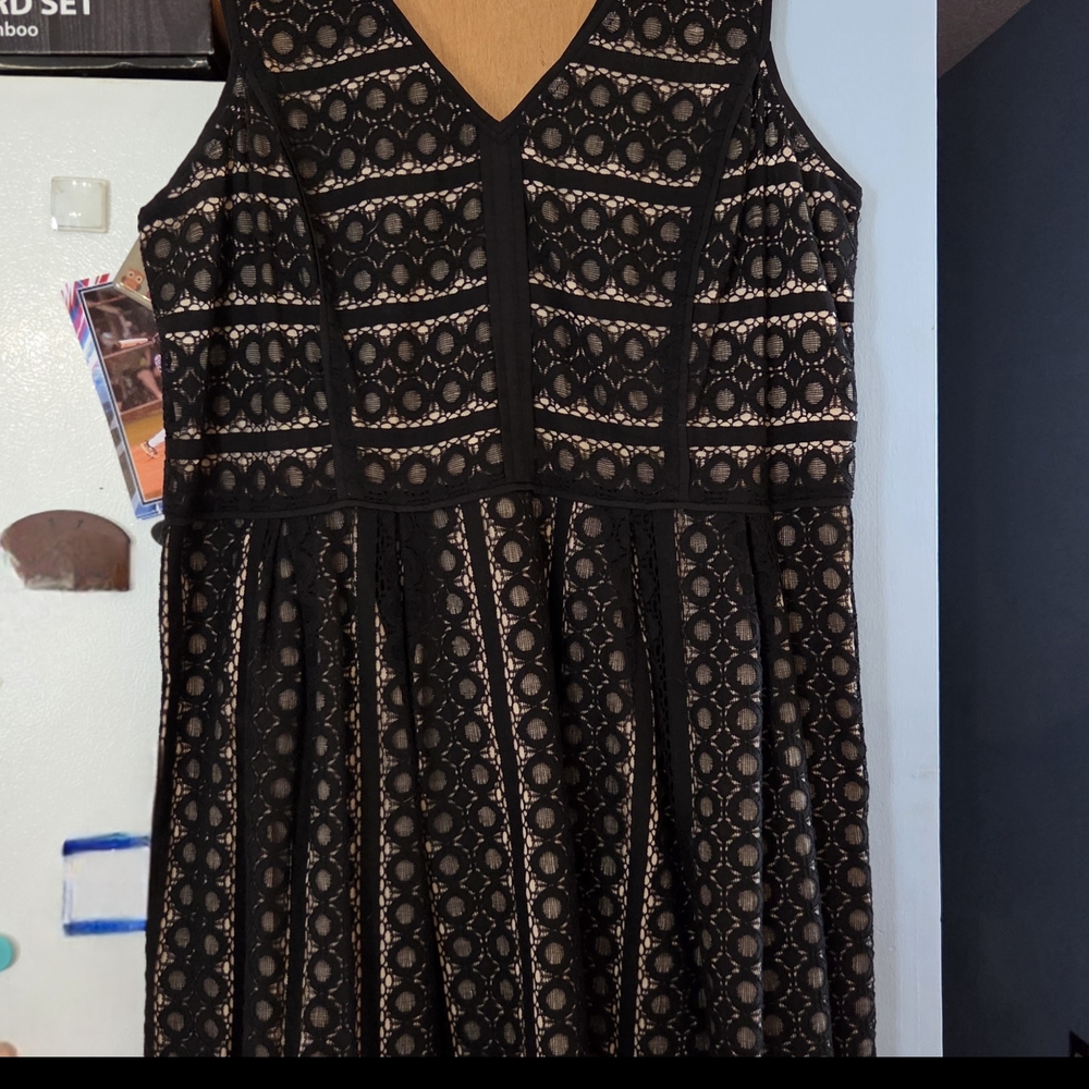 LOFT Black and Cream Lace Midi Dress